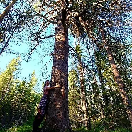 木屋 Kelorinne Ladun Ja Jaerven Laeheisyydessae *