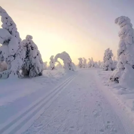 Kelorinne Ladun Ja Jaerven Laeheisyydessae *